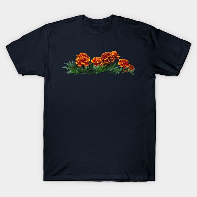 Group of Orange Marigolds With Yellow Tips T-Shirt by SusanSavad